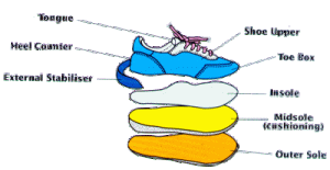 Layers of a running shoe