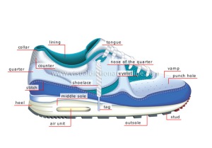 The Anatomy of a Running Shoe